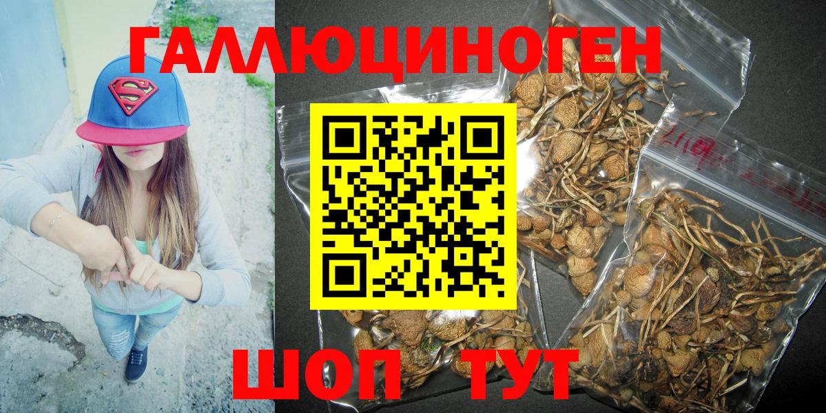 Галлюциногенные грибы Psilocybine cubensis Керчь