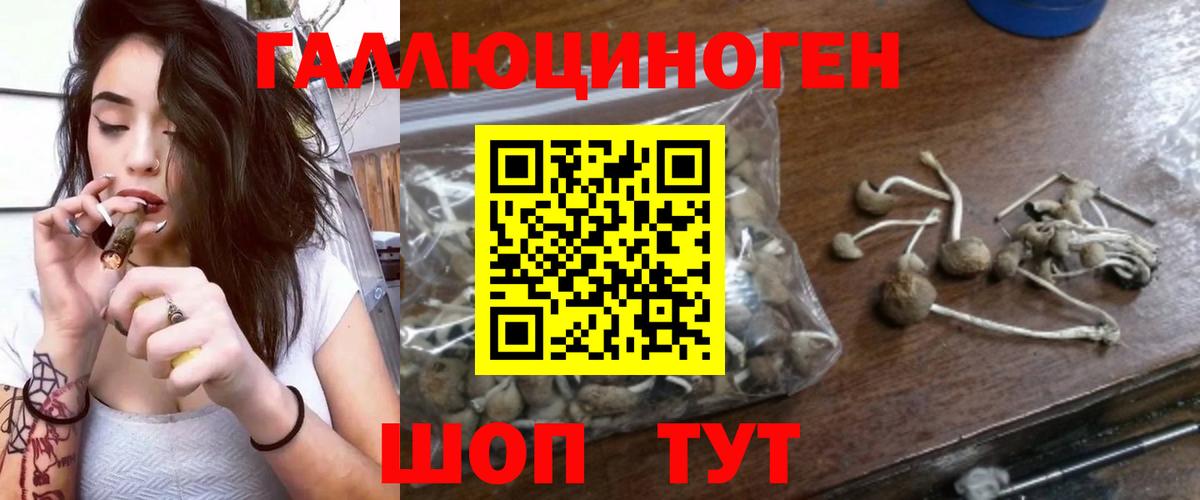 Галлюциногенные грибы мицелий  Вход с VPN  Керчь 