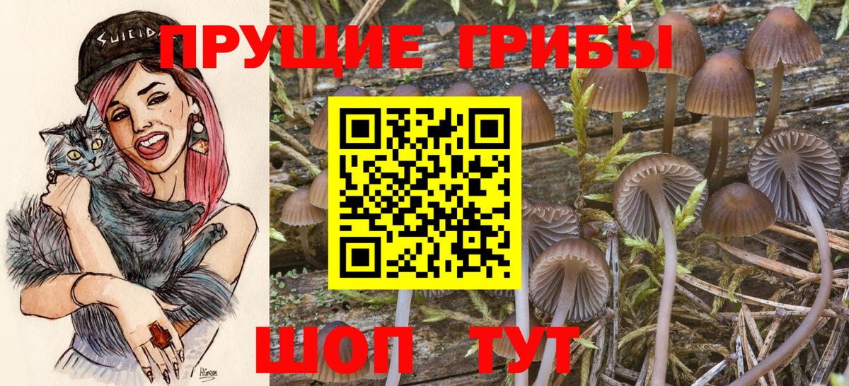 Канабис  Вход с VPN  Керчь  ГАШ  Мефедрон  